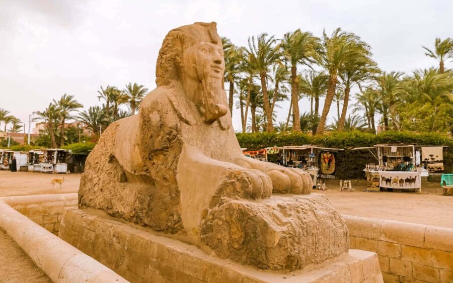 Estatuas de esfinge en la antigua ciudad de Menfis, Egipto.