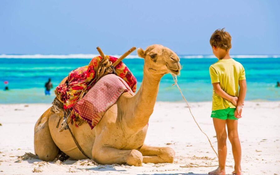 Un niño sonriente montando un camello entre palmeras en Hurghada.