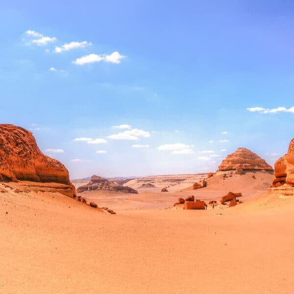 Vista impresionante del paisaje del Oasis de Fayoum con palmeras y agua clara.
