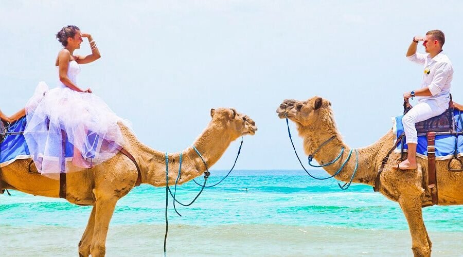 Pareja montando camellos durante un tour por el Mar Rojo en Egipto.
