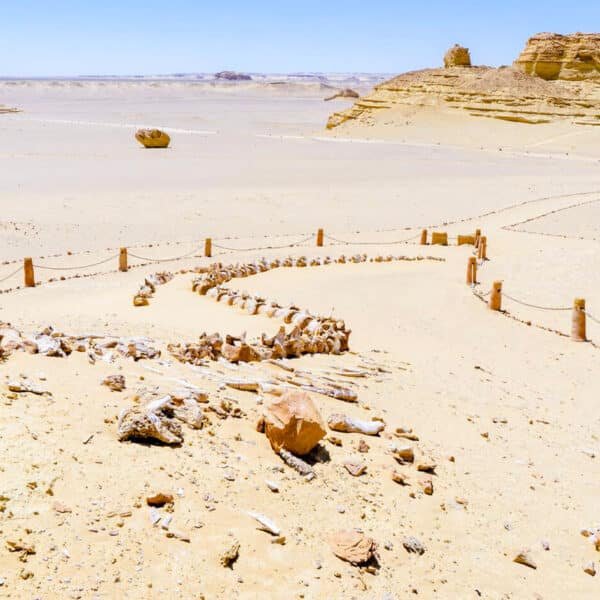 Valle de las Ballenas en Egipto, formaciones rocosas impresionantes en un paisaje desértico.