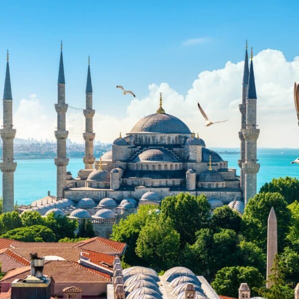 Vista impresionante de la Mezquita Azul en Estambul con su arquitectura intrincada.