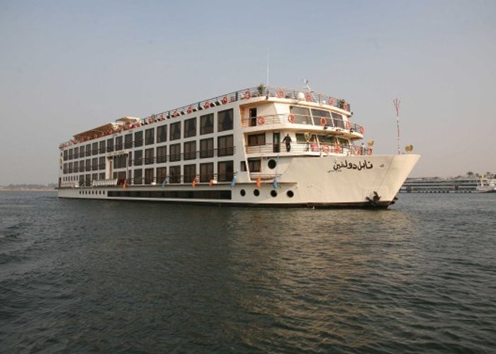 Delfín nadando en el Nilo durante un crucero.