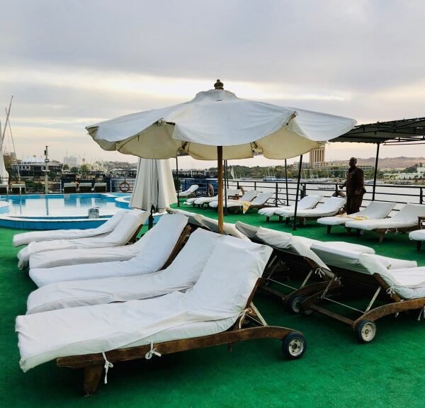 Delfín del Nilo nadando durante un crucero en el río Nilo.