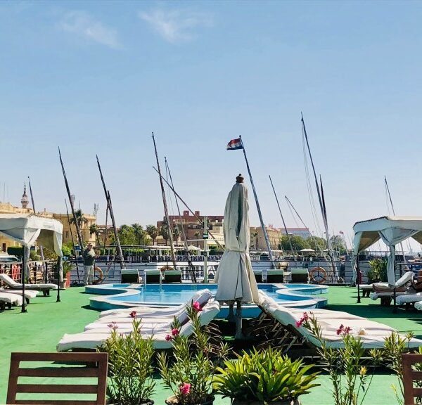 Delfín del Nilo nadando cerca de un barco en el río Nilo.