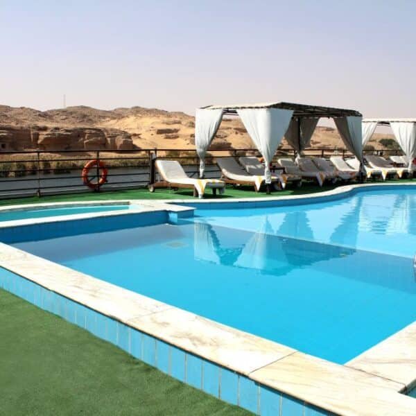 Delfín del Nilo nadando cerca de un crucero en el río Nilo.