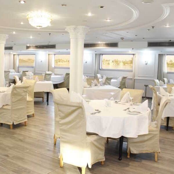 Delfín del Nilo nadando cerca de un crucero en el río Nilo.