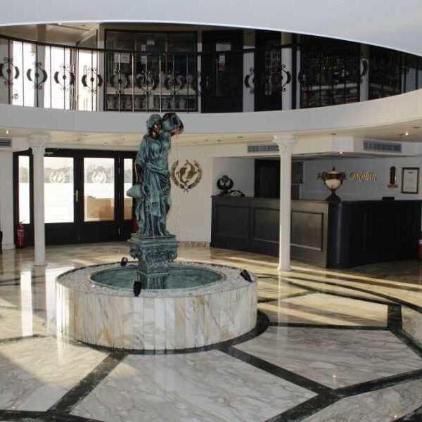 Delfín del Nilo nadando junto a un crucero en el río Nilo.