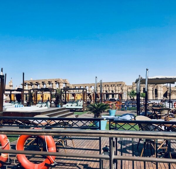 Delfín del Nilo nadando durante un crucero por el río Nilo.