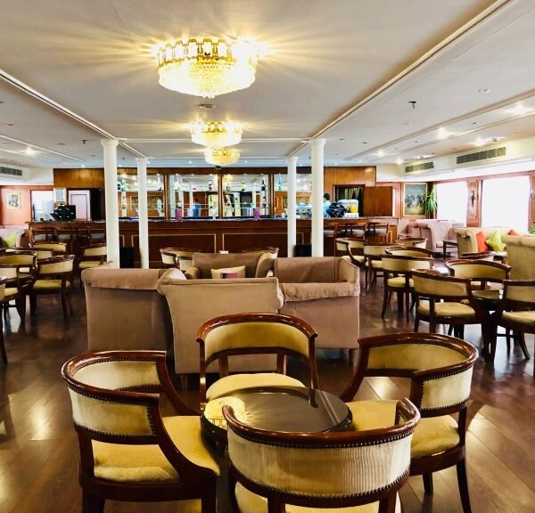 Delfín del Nilo nadando durante un crucero por el río Nilo.